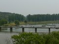 Luoyang (055)